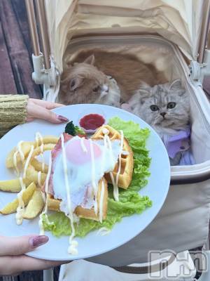 ��ë����Х��顦�����CLUB��Paladin(����֡��ѥ�ǥ���) ���ʤ�12��5���̥�֥�����☕*���