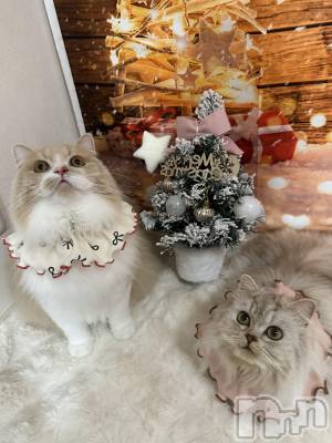 ��ë����Х��顦�����CLUB��Paladin(����֡��ѥ�ǥ���) ���ʤ�12��25���̥�֥�����⛄️🎄❄️��