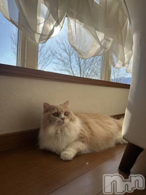 ��ë����Х��顦�����CLUB��Paladin(����֡��ѥ�ǥ���) ���ʤ�1��6���̥�֥����������ޤ��Ƥ���ǤȤ��������ޤ�🐴��