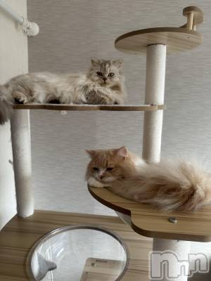 ��ë����Х��顦�����CLUB��Paladin(����֡��ѥ�ǥ���) ���ʤ�1��28���̥�֥�����👀✨💫��