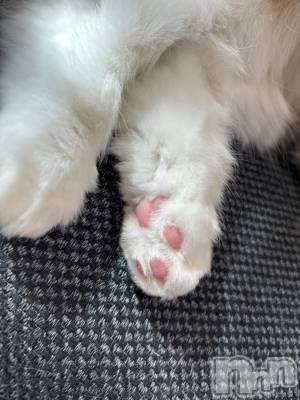 ��ë����Х��顦�����CLUB��Paladin(����֡��ѥ�ǥ���) ���ʤ�1��29���̥�֥�����⛄️��