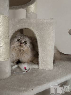 ��ë����Х��顦�����CLUB��Paladin(����֡��ѥ�ǥ���) ���ʤ�2��6���̥�֥����֤���������🐁⸒⸒��