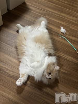 ��ë����Х��顦�����CLUB��Paladin(����֡��ѥ�ǥ���) ���ʤ�2��15���̥�֥����֤⤳�⤳��