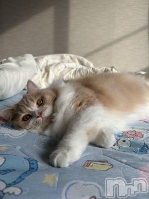 ��ë����Х��顦�����CLUB��Paladin(����֡��ѥ�ǥ���) ���ʤ�2��21���̥�֥�����𖤐��-��