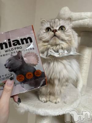 ��ë����Х��顦�����CLUB��Paladin(����֡��ѥ�ǥ���) ���ʤ�3��12���̥�֥�����new🍚��-��