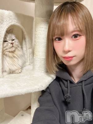 ��ë����Х��顦�����CLUB��Paladin(����֡��ѥ�ǥ���) ���ʤ�3��13���̥�֥�����(  ³��³  )🐈zzzzz��