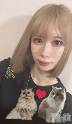 ��ë����Х��顦�����CLUB��Paladin(����֡��ѥ�ǥ���) ���ʤ�3��16���̥�֥�����new��