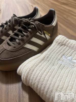��ë����Х��顦�����CLUB��Paladin(����֡��ѥ�ǥ���) ���ʤ�3��19���̥�֥�����adidas��