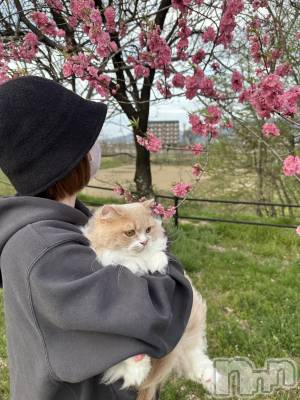 ��ë����Х��顦�����CLUB��Paladin(����֡��ѥ�ǥ���) ���ʤ�4��14���̥�֥�����🐈💗🌸🩷��