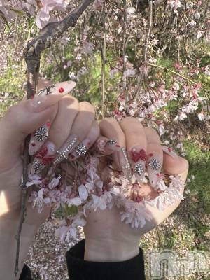 ��ë����Х��顦�����CLUB��Paladin(����֡��ѥ�ǥ���) ���ʤ�4��18���̥�֥�����ᴺᴱᵂ◝✩��