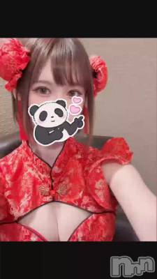 🇨🇳🐼
