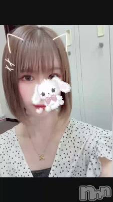 🐰⸝꙳