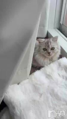 �����ܤä�