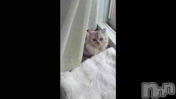 �������ܤä���