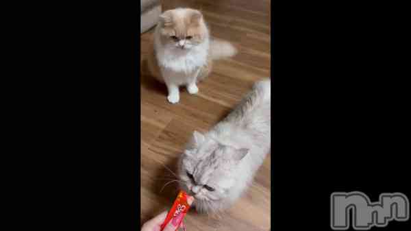 ��😽��