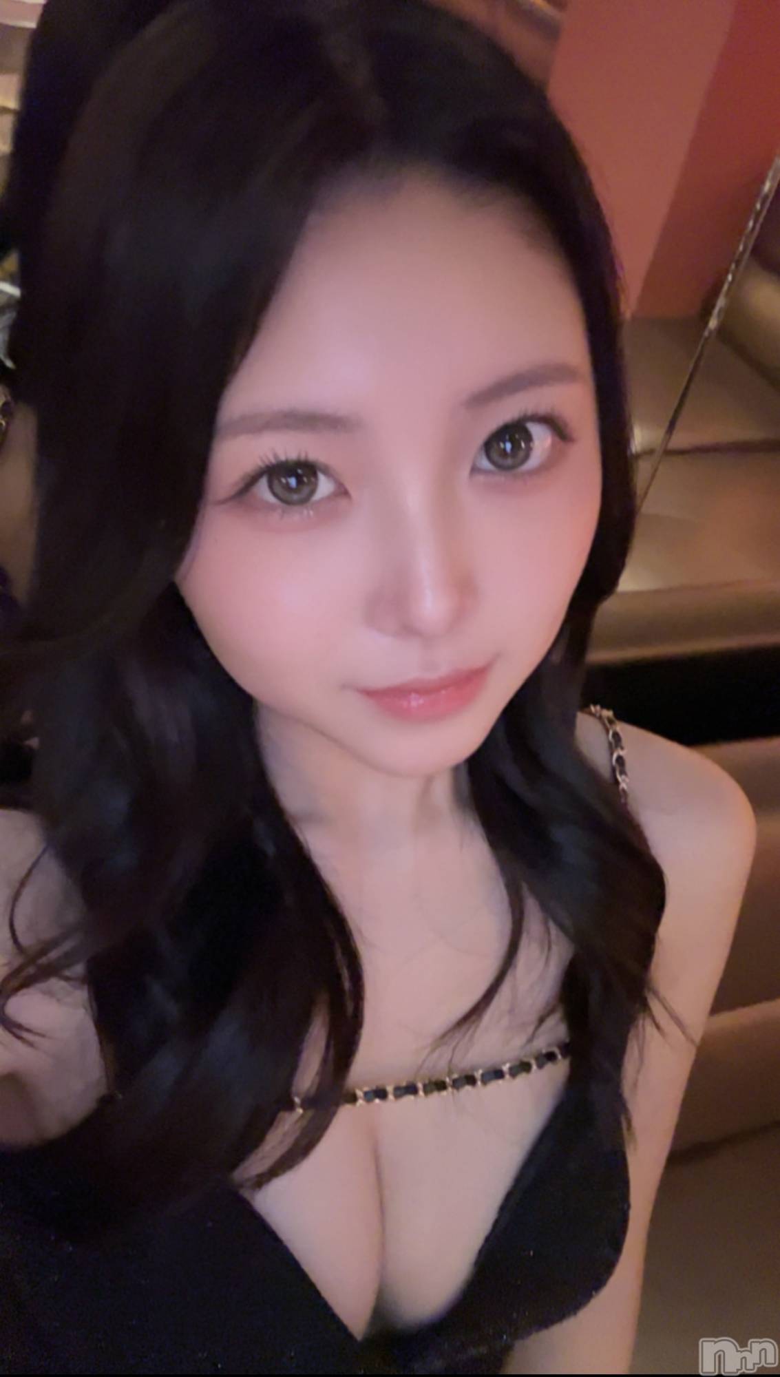 �����������Х��顦�����Diletto(�ǥ���å�) ��2026ǯ4��5���̥�֥�����ī����顼����