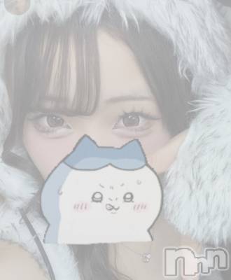ߤ(20) Ĺ163cmХ顦 Diletto(ǥå)ҡ
