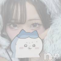 Х顦 Diletto(ǥå) ߤʤβ(2)