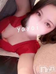 長岡デリヘルROOKIE(ルーキー) やよい☆プラチナ(24)の12月1日写メブログ「前を呼ばれると嬉しくなる理由」