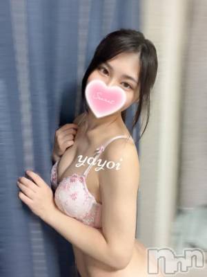 長岡デリヘル ROOKIE(ルーキー) やよい☆プラチナ(24)の9月19日写メブログ「今日はちょっぴり甘えたい気分...」