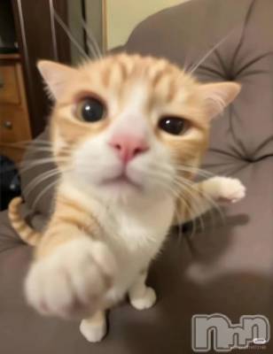 長岡デリヘル 純・無垢(ジュンムク) こは(23)の7月11日写メブログ「お休み中」