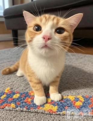 長岡デリヘル 純・無垢(ジュンムク) こは(23)の7月25日写メブログ「生理中です」