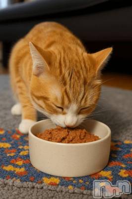 長岡デリヘル 純・無垢(ジュンムク) こは(23)の8月1日写メブログ「[お題]from:それを許さない社会さん」