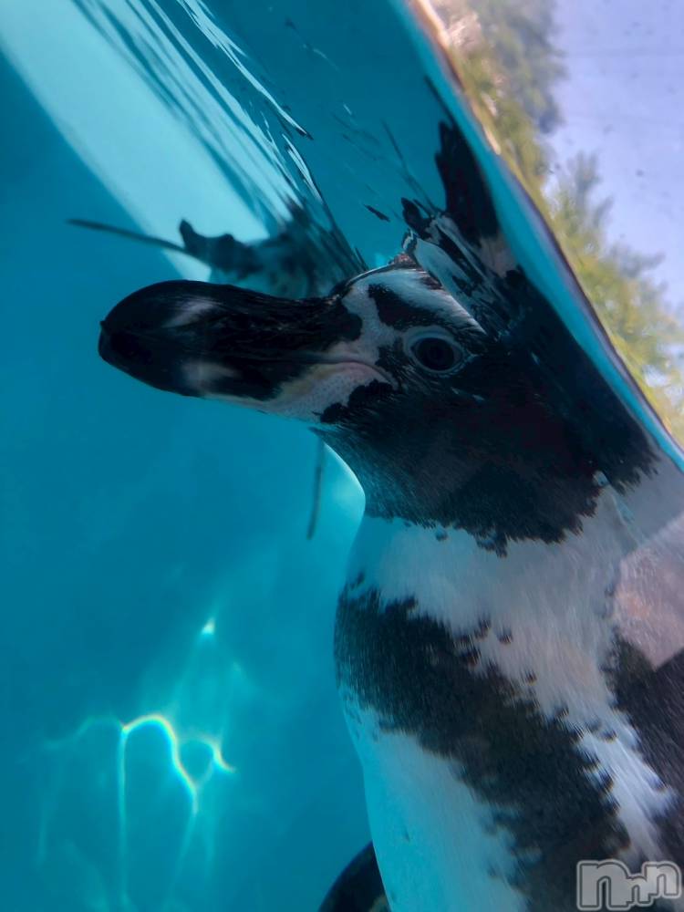 ��Ʋ����Х��顦�����CLUB FOUR GARDEN(����֡��ե��������ǥ�) ��Τ�1��12���̥�֥�����1��12�� 01��37ʬ�Υ֥�����