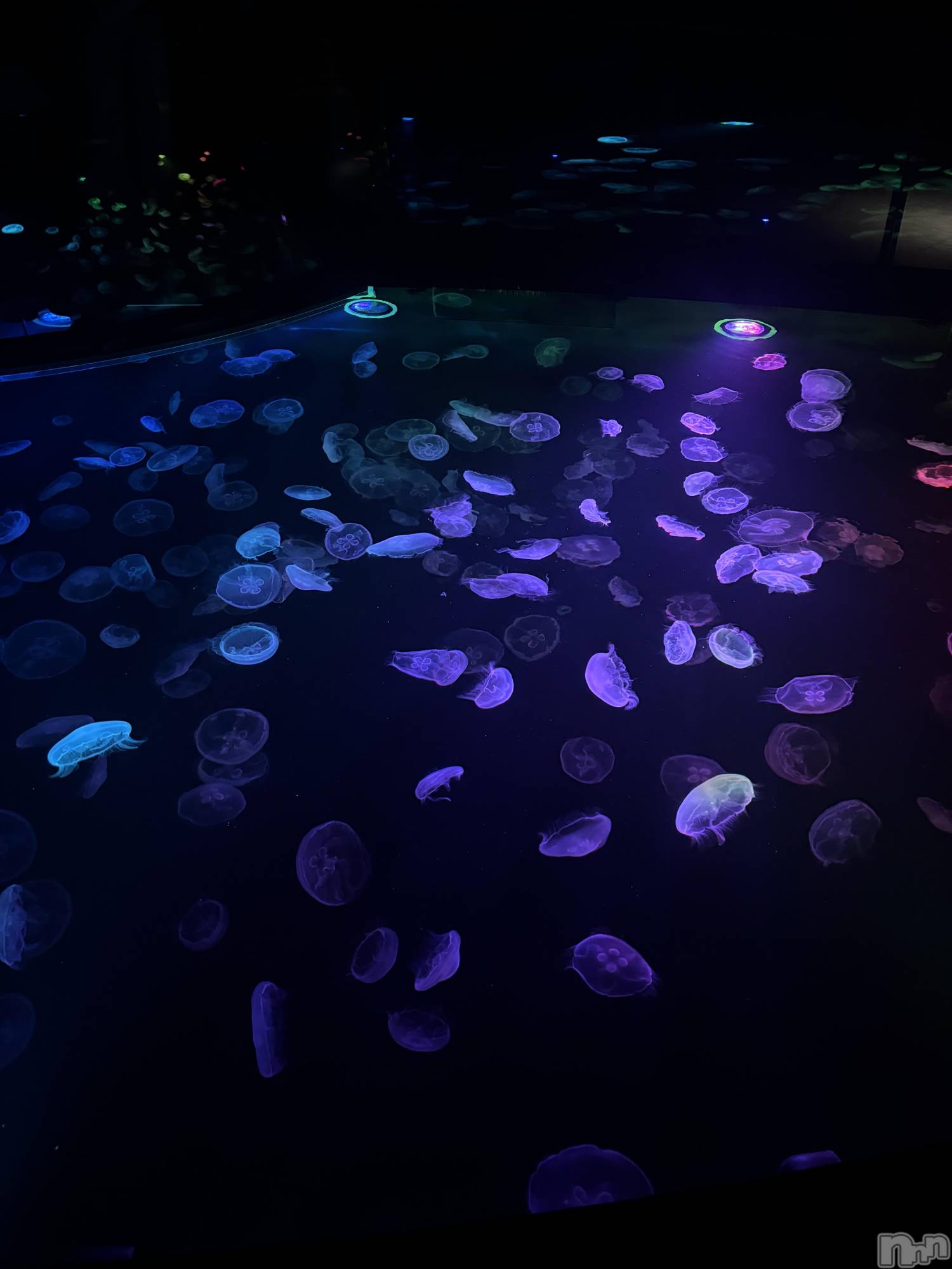 ��Ʋ����Х��顦�����CLUB FOUR GARDEN(����֡��ե��������ǥ�) ��2026ǯ1��3���̥�֥����֤����ޤ��Ƥ���ǤȤ��������ޤ���