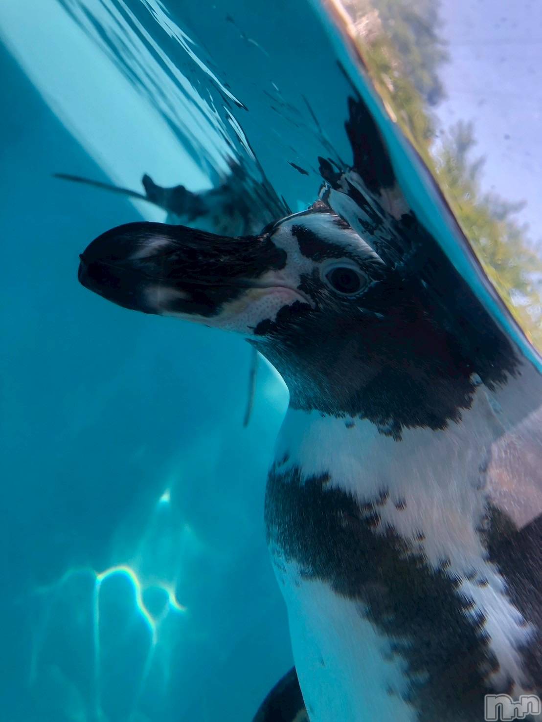 ��Ʋ����Х��顦�����CLUB FOUR GARDEN(����֡��ե��������ǥ�) ��2026ǯ1��12���̥�֥�����1��12�� 01��37ʬ�Υ֥�����