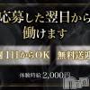 GIRLS BAR SHELBY ʧ1OK礷Ưޤ