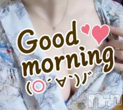 新潟デリヘル熟女の風俗 最終章(ジュクジョノフウゾクサイシュウショウ) さねみ(38)の1月12日写メブログ「おはようございます」