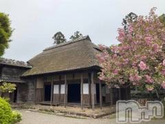 新潟デリヘル熟女の風俗 最終章(ジュクジョノフウゾクサイシュウショウ) さねみ(38)の4月26日写メブログ「おはようございます」