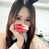 ヒビキ