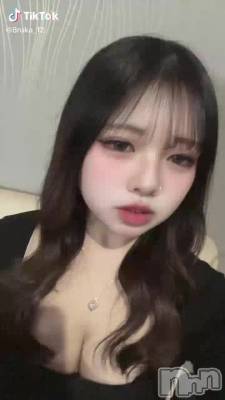 2��28�� 04��49ʬ��ư��