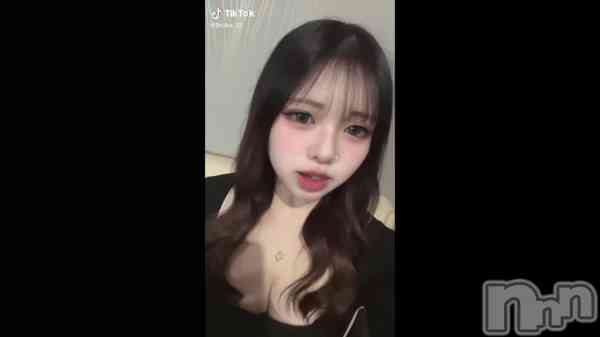 ��2��28�� 04��49ʬ��ư���