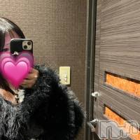 �Ϥ뤫(�ҥߥ�) ��Ĺ�ҥߥġ���Į���ʥå��������륺�С� GIRLS BAR ROBIN(�����륺�С����ӥ�)���ҡ�