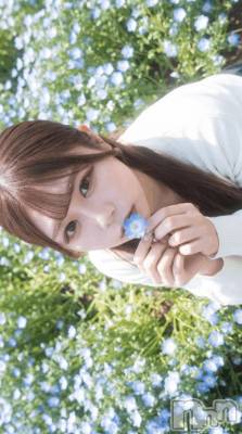 上越デリヘル BLUE BIRD上越店(ブルーバード上越店) ふわり(21)の7月18日写メブログ「急遽明日から🗓‎🩵」