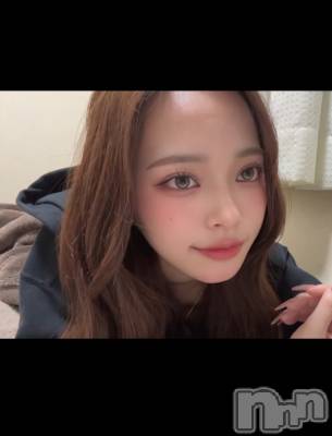 (ҥߥ) Ĺ159cmХ顦 Diletto(ǥå)ҡ