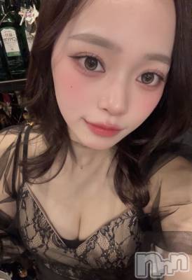 �����������Х��顦�����Diletto(�ǥ���å�) ����2��4���̥�֥��������ݡ�