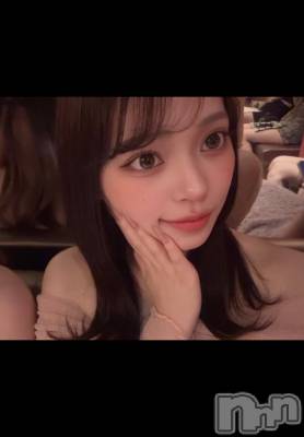 �����������Х��顦�����Diletto(�ǥ���å�) ����3��6���̥�֥����֤����