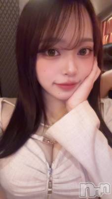 �����������Х��顦�����Diletto(�ǥ���å�) ����4��4���̥�֥����֤�äȤ�🌸��