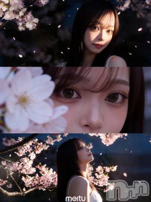 �����������Х��顦�����Diletto(�ǥ���å�) ����4��8���̥�֥�����👀💞��