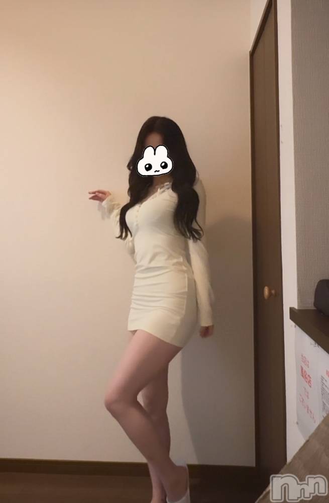 㡦ȯĥꥢ󥺥Ƥޤơ(ޥƥåȥ˥) 줤ʤ1023̥֥Ϥ