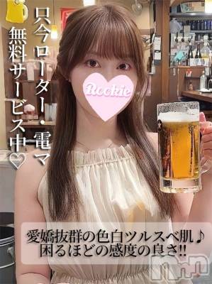 ありさ(23) 身長159cm、スリーサイズB83(C).W56.H85。長岡デリヘル ROOKIE(ルーキー)在籍。