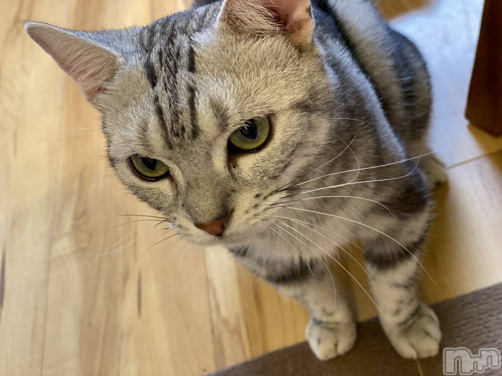 ��ë����Х��顦�����CLUB��Paladin(����֡��ѥ�ǥ���) ��Ļͷ �ߤ��Ȥ�10��18���̥�֥����֤ˤ��