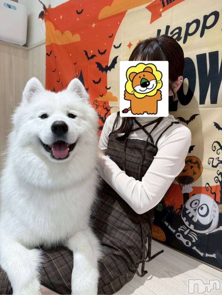 ��ë����Х��顦�����CLUB��Paladin(����֡��ѥ�ǥ���) ��Ļͷ �ߤ��Ȥ�10��31���̥�֥����֤��󤸤Ģ�^��^����