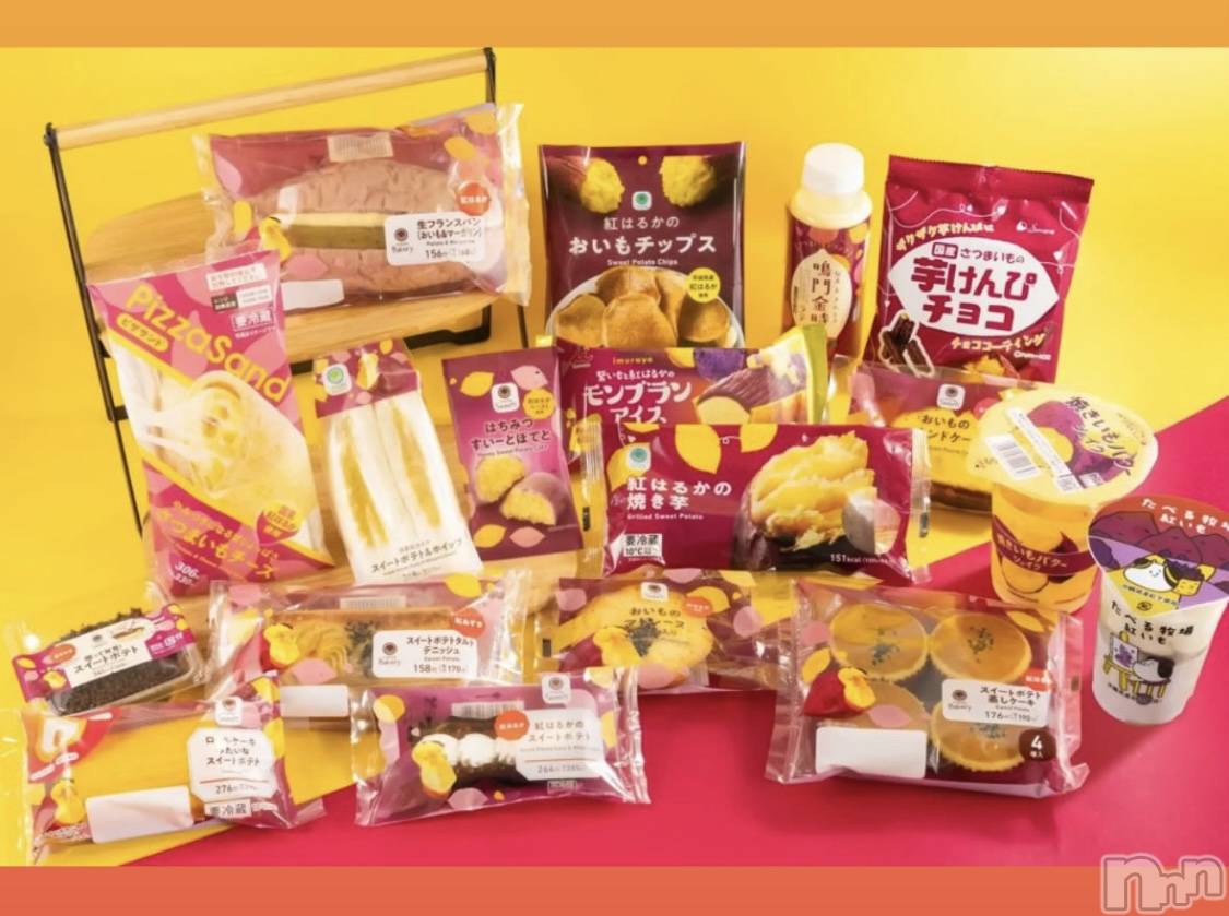 ��ë����Х��顦�����CLUB��Paladin(����֡��ѥ�ǥ���) ��2025ǯ9��13���̥�֥����֤��������