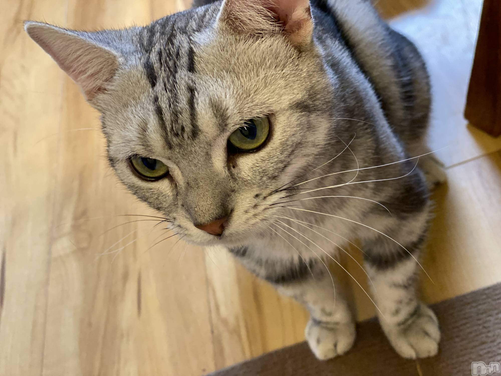 ��ë����Х��顦�����CLUB��Paladin(����֡��ѥ�ǥ���) ��2025ǯ10��18���̥�֥����֤ˤ��