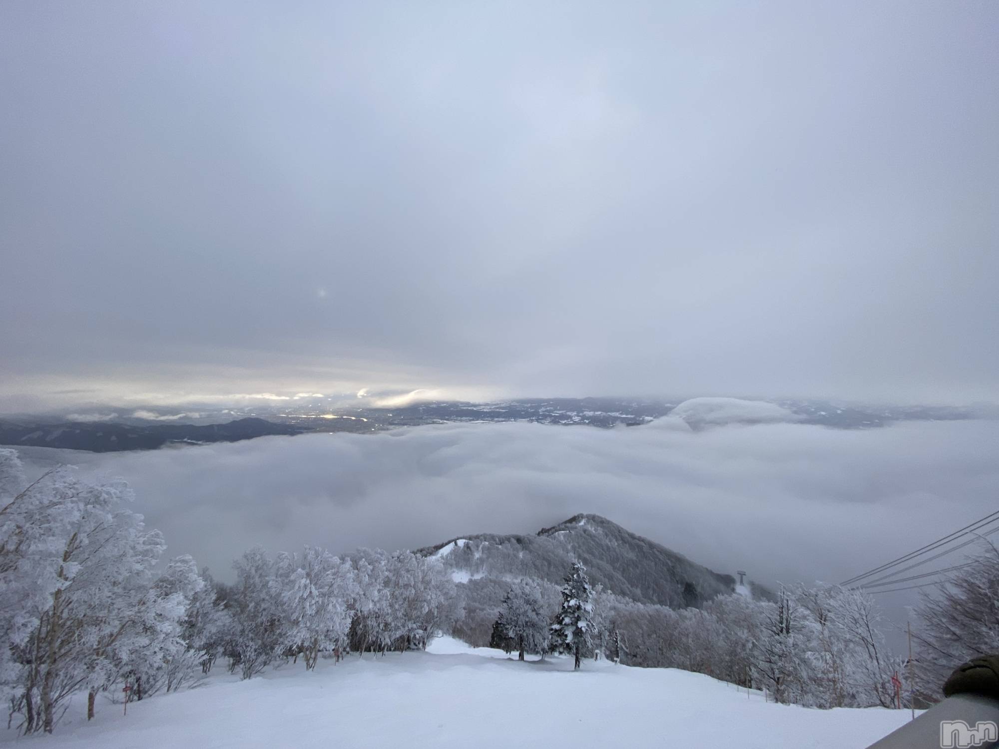 ��ë����Х��顦�����CLUB��Paladin(����֡��ѥ�ǥ���) ��2026ǯ3��15���̥�֥�������⛄️��